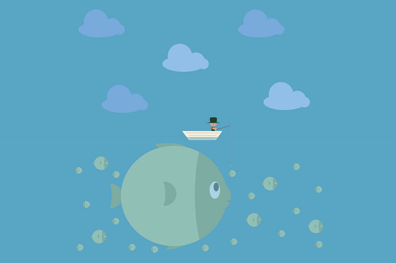 cloudcone 启用多个IPV6